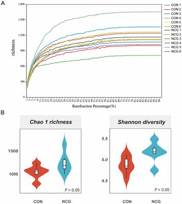 Effects of dietary N-carbamylglutamate on rumen fermentation parameters, and bacterial community diversity of Holstein dairy cows in Tibet